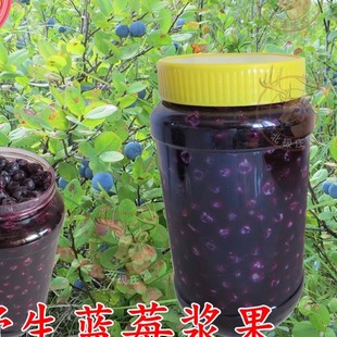 天然蓝莓浆果 包邮 瓶装 酸酸甜甜 鲜果加汁 大兴安岭野生蓝莓鲜果