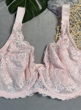 钢圈蕾丝显小大罩杯内衣A0647 欧美原单宽肩带大码文胸85-95CDEF