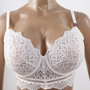 70-85BCDEF宽下摆公主风大罩杯内衣A0575蕾丝外贸文胸 大码胸罩