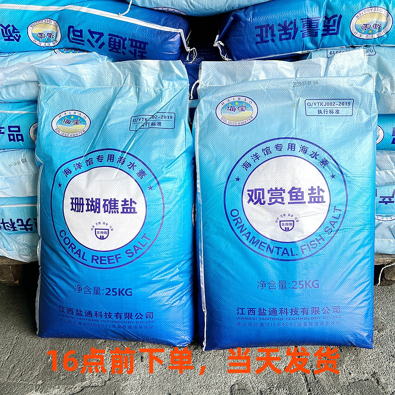 海宝珊瑚礁盐小丑鱼盐