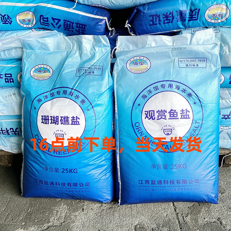 海宝珊瑚礁盐小丑鱼盐