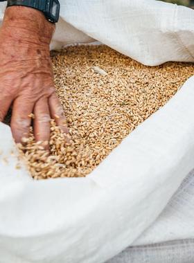 Rustichella 意大利进口露丝缇克拉手工意面通心粉杜兰小麦粗面粉