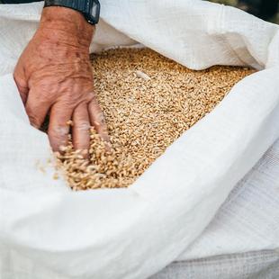 Rustichella 意大利进口露丝缇克拉手工意面通心粉杜兰小麦粗面粉