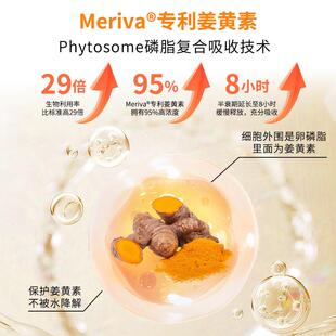 顺丰直邮THORNE姜黄素胶囊抗炎护肠胃肝脏应酬祛湿120粒1000毫克