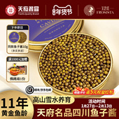 芙思塔鱼子酱11年鱼龄海博瑞鲟鱼籽营养丰富四川雅安即食30g 1罐