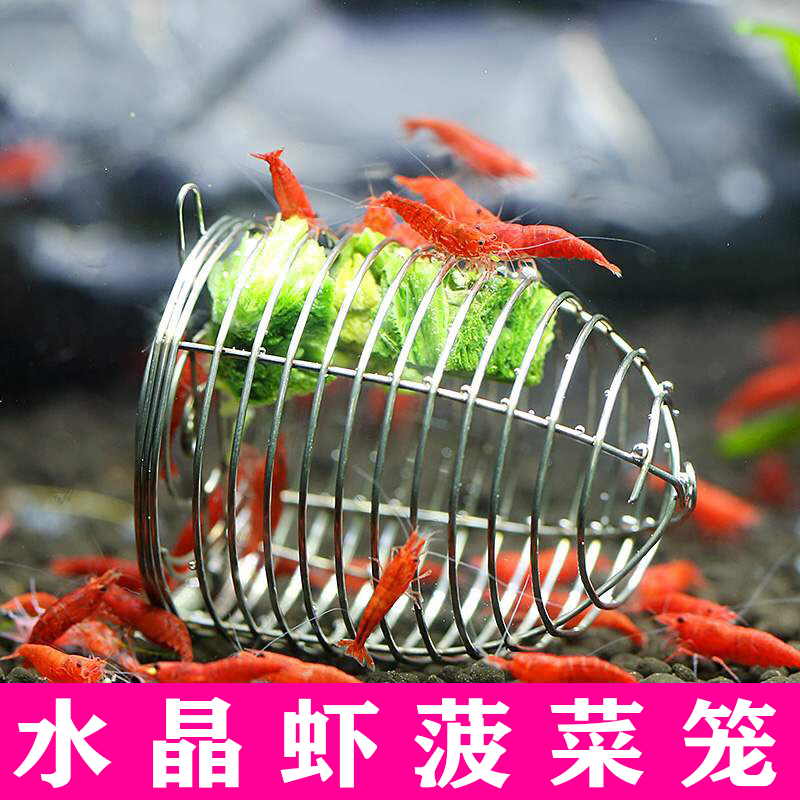 底栖鱼极火水晶虾沉底菠菜喂食器