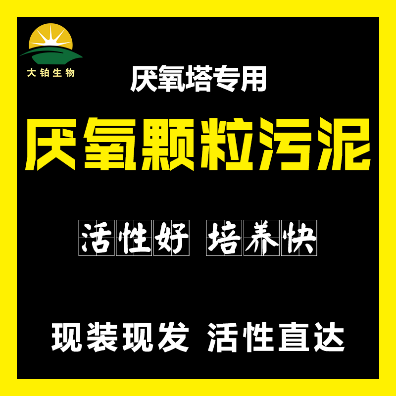 厌氧颗粒污泥降COD厌氧塔罐培菌