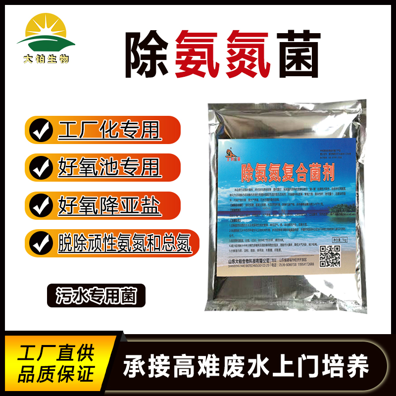 除氨氮菌生活污水处理菌种氨氮降解菌高效去除氨氮脱氮微生物细菌