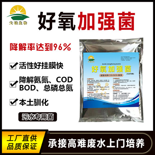 污水处理菌种好氧加强菌污水净化