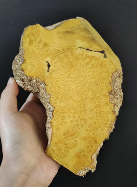 小叶黄杨瘤疤木料手把件弹弓料刀柄料黄杨木瘤牌子手串料工艺品