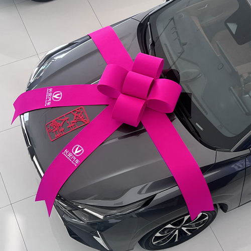 新提车领克极氪智己交车蝴蝶结花