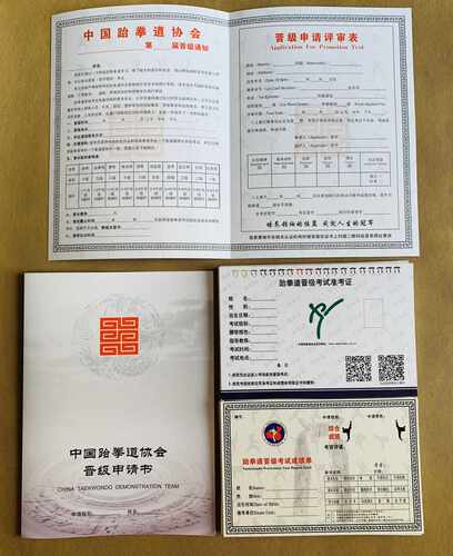 跆拳道考级表跆拳道晋级申请表信息录入