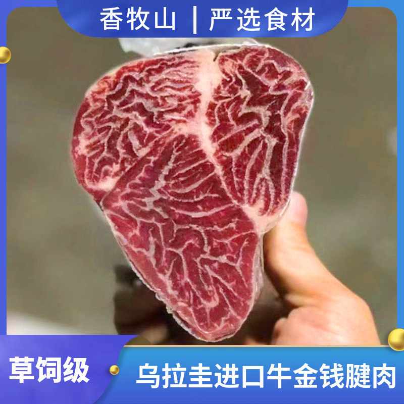 乌拉圭进口草饲牛金钱腱酱牛肉