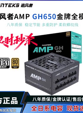 追风者AMPGH金牌650W模组电源