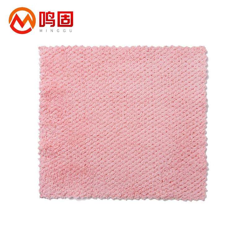 鸣固抹布菠萝格25*25cm抹布加大加厚超吸水珊瑚绒清洁巾10片(颜色