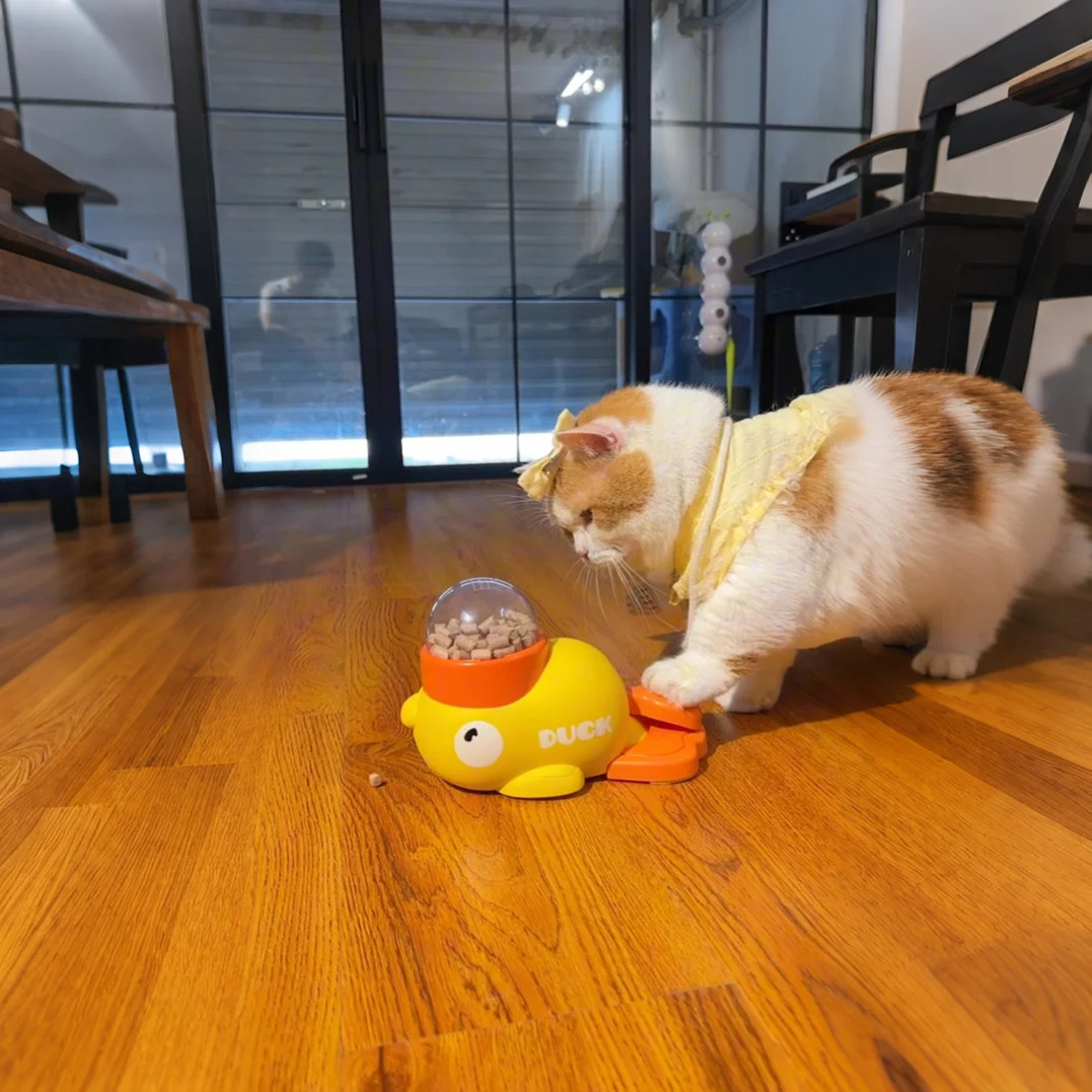 小黄鸭漏食猫咪玩具自嗨解闷逗猫棒宠物零食冻干发射器小狗狗玩具