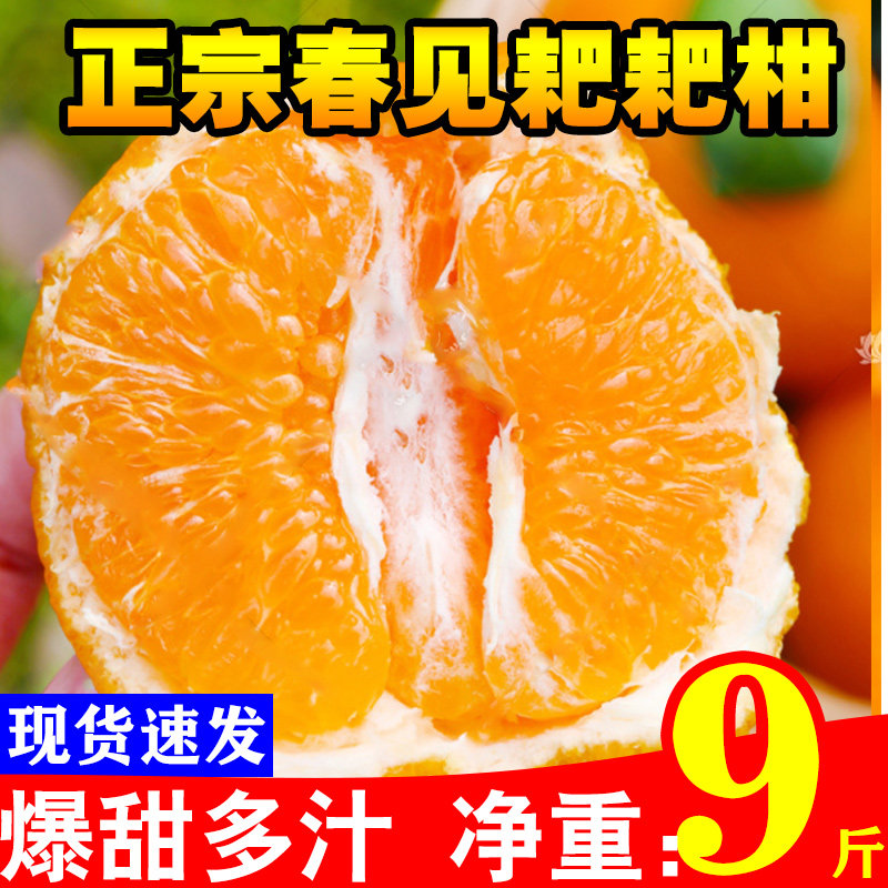正宗四川春见耙耙柑现摘发货官方旗舰店杷杷柑香甜甜爆汁粑粑柑10