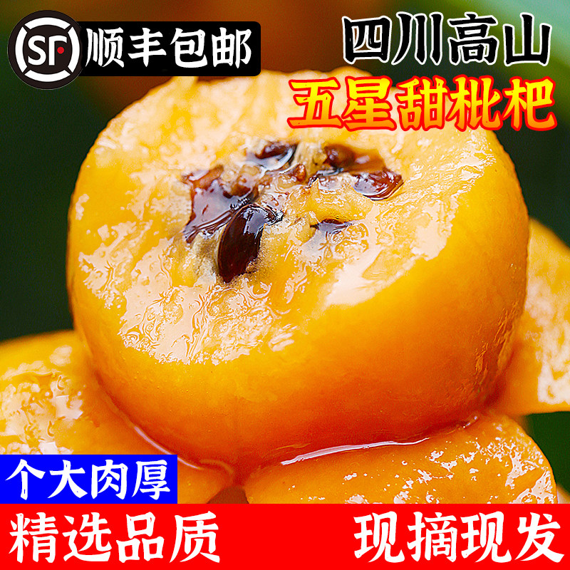 四川高山枇杷特级新鲜甜大果大五星鲜果整箱当季5斤顺丰包邮现摘