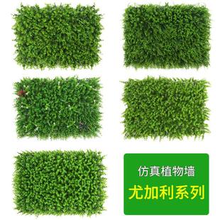 仿物真彩色尤加植墙彩尤利绿植墙假草皮塑料背景花墙拍摄人色造草