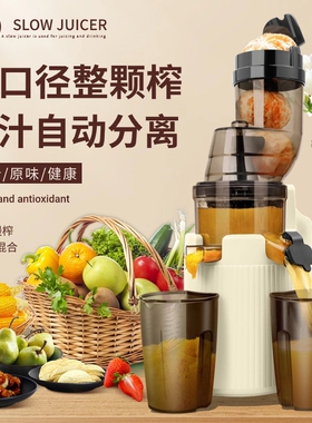 德国家用榨汁机汁渣分离打扎压水