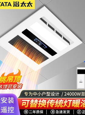风暖浴霸集成吊顶暖风机卫生间嵌