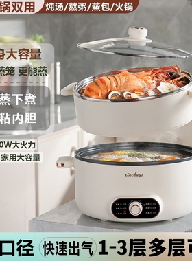 电蒸锅多功能家用蒸煮炖一体插电