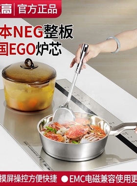Chigo/志高NL2521双灶嵌入家用