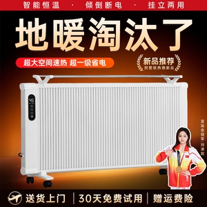 家探长石墨烯取暖器电暖气电暖器