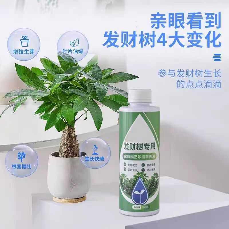 发财树专用肥专用营养液肥料稀释绿植植物室内盆栽家用通用型液体,鲜花速递/花卉仿真/绿植园艺,家庭园艺肥料,淘宝优惠券,粉丝福利购,淘宝优惠卷