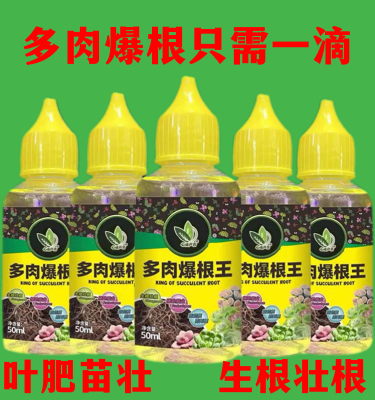 花卉植物营养液爆根王