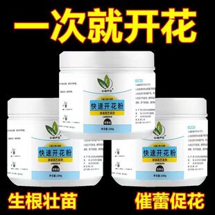 正品快速开花粉通用型玫瑰月季花茶花爆花盆栽花卉三角梅水溶肥料