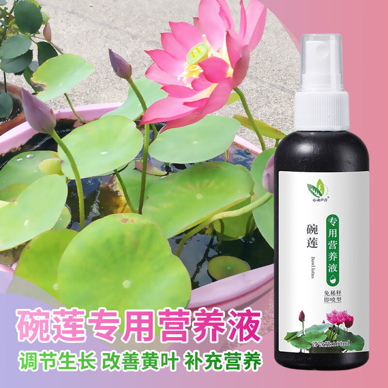 心动声音碗莲营养液包邮