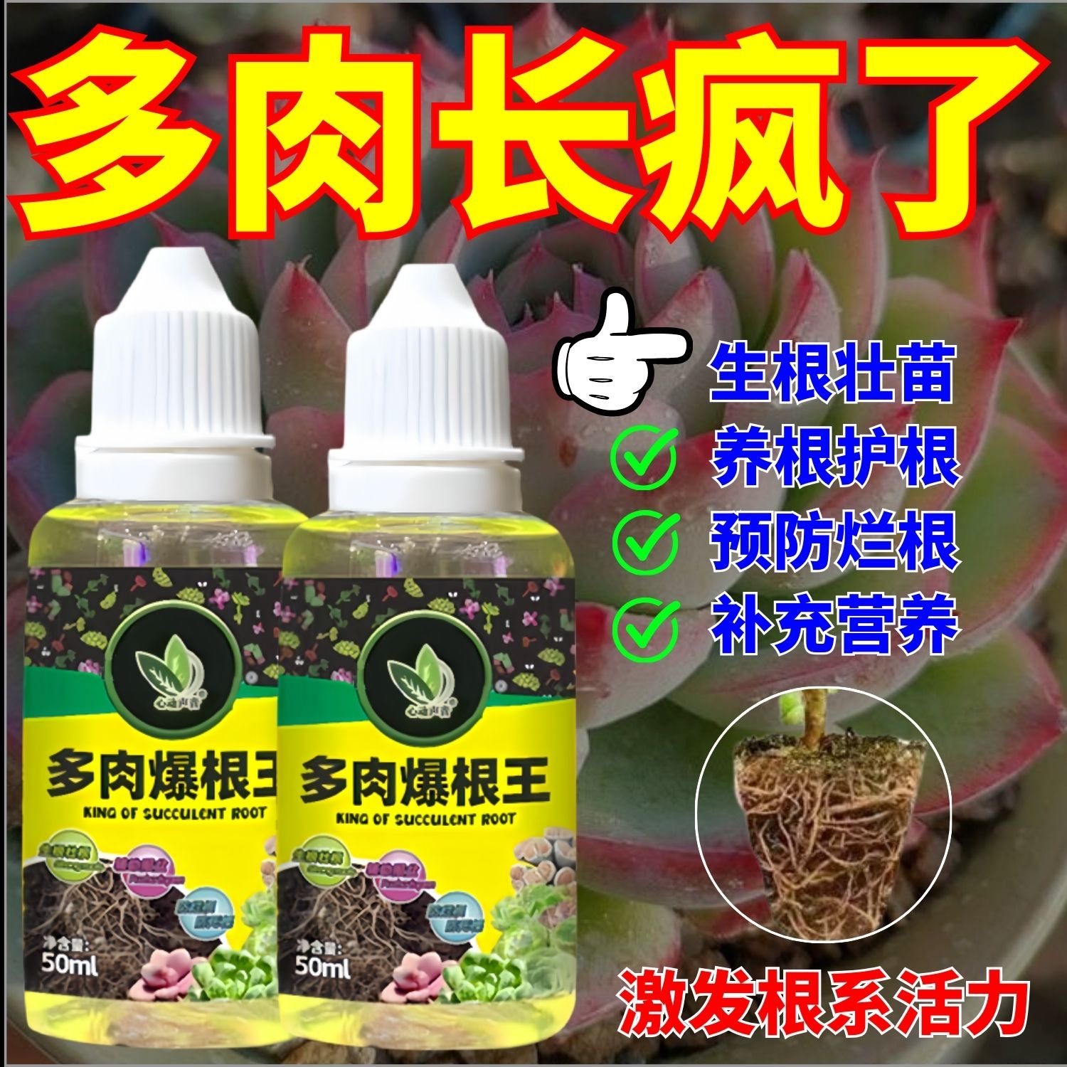 心动声音多肉多肉爆根王营养液