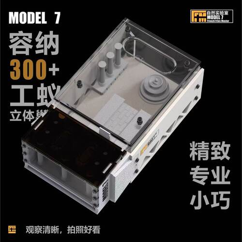 自然实验室蚁巢立体造景大群蚁巢