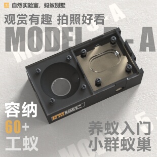 自然实验室蚁巢Model 5(A款小群新后巢)可观察教育价值真实生态