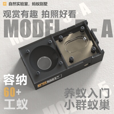 自然实验室蚁巢：无限拓展新后巢