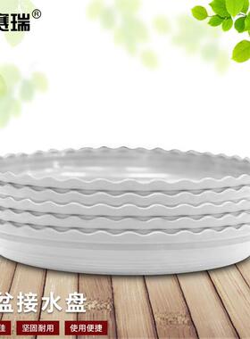 安赛瑞花盆接水托盘圆形花盘垫白色5个装内径约22cm5E00360