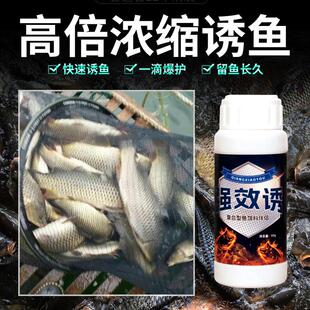 抖音爆款谷道香 虽效诱复合型鱼饵料伴侣钓鱼小药野钓黑坑鲫鲤草