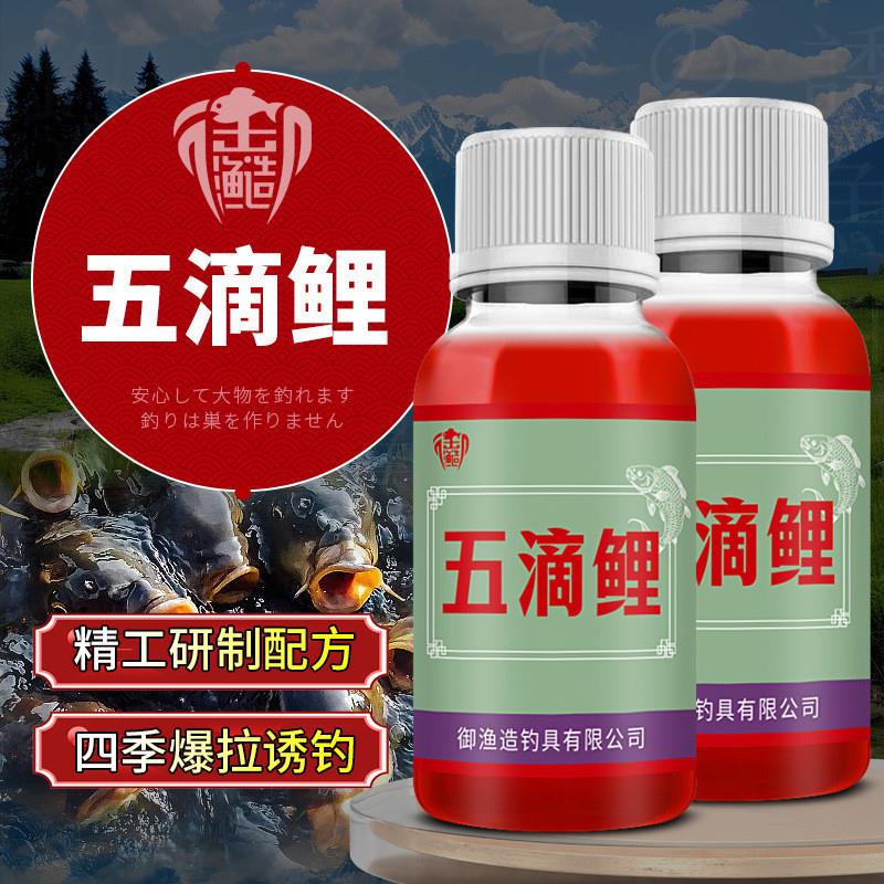 抖音爆款五滴鲤钓鱼小药巨大裸框镜鲤三道鳞滑口回锅鲤鱼饵食窝料