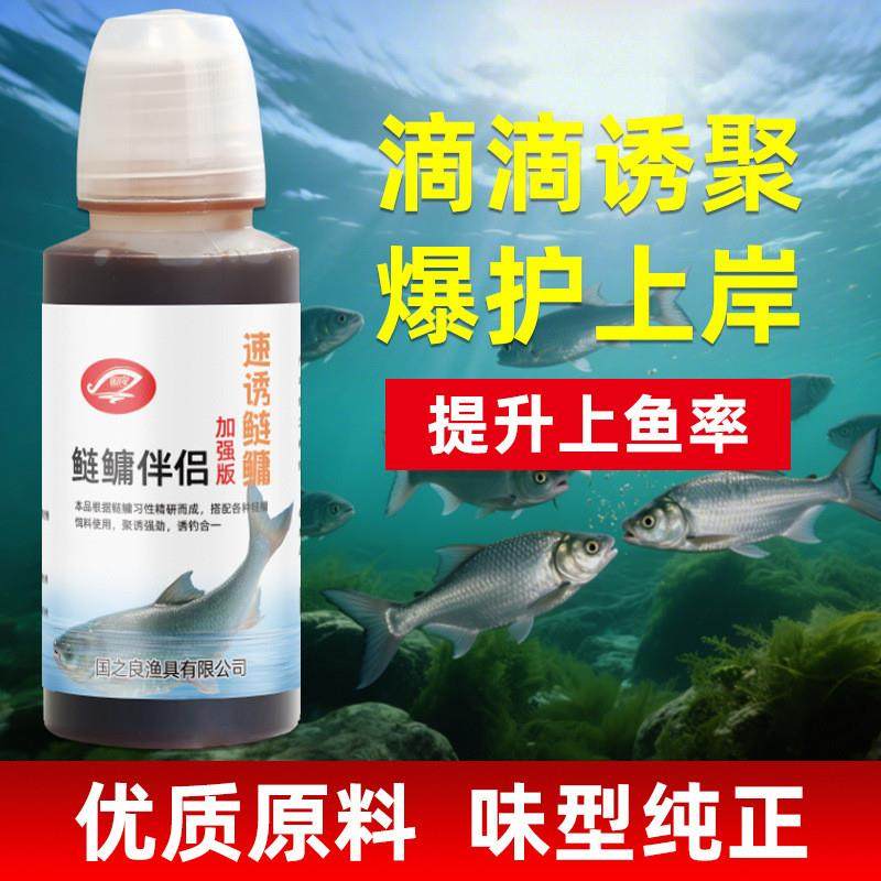 抖音爆款鲢鳙伴侣添加剂花白鲢大爆头鱼专钓鱼小药饵窝料开口诱食,户外/登山/野营/旅行用品,鱼饵添加剂,淘宝优惠券,粉丝福利购,淘宝优惠卷