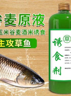 抖音爆款原浆诱食剂钓鱼小药水泡玉米谷麦酒米鱼窝料饵料鲫鱼鲤鱼