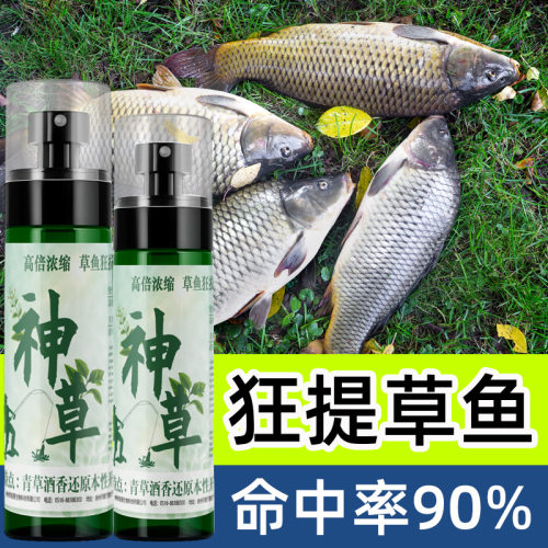 抖音爆款神草草鱼专用添
