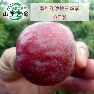 广东省红心李南雄三华李韶关粤北李子黄坑红沙岭10斤包邮新鲜大果