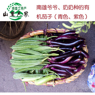 韶关长茄子农家自种广东南雄四月眉丝瓜节瓜朴瓜青辣椒黄瓜玉米