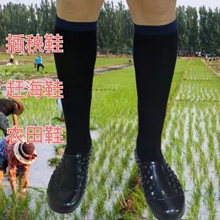 下田播秧水田鞋长款种田赶海下海软底防蚂蝗轻便不掉插秧挖藕鞋