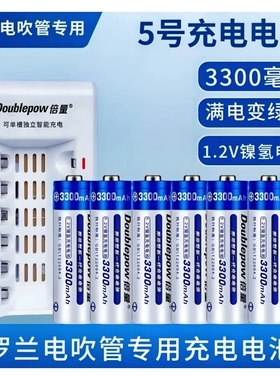 罗兰电吹管电池AE10/AE20/AE30专用镍氢1.2V充电电池5号大容量电