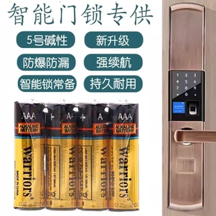 五号7号碱性电池适用智能门锁专用遥控器正品鼠标血糖仪耐用电池