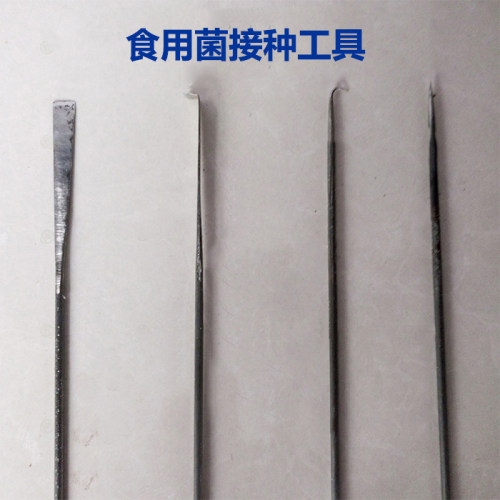 食用菌接种工具 接种铲 接种耙 接种钩 接种针 304不锈钢接种工具