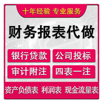 代做银行财务报表流水和投标审计