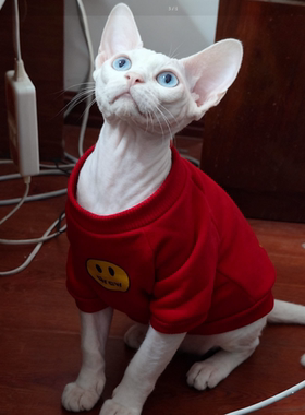 德文卷毛猫咪专用冬天衣服卫衣保暖潮牌薄款幼猫过冬神器红色小猫